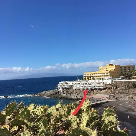 Queen's Paradise * Callao Salvaje